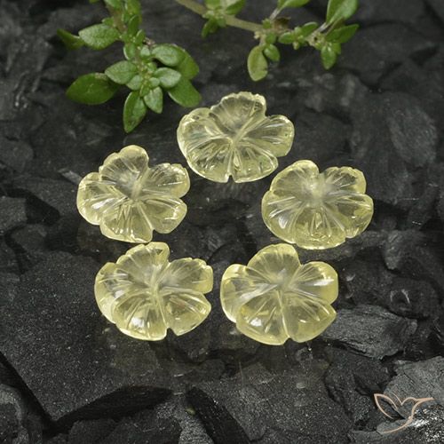 8.38ctw Natural Luz amarela Quartzo, Flor cortada, Transparente