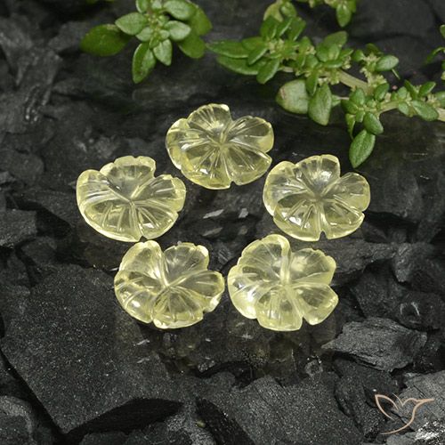 6.89ctw Natural Luz amarela Quartzo, Flor cortada, Transparente