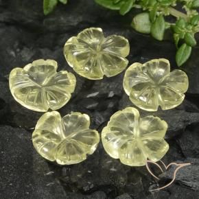 Pedras preciosas de Quartzo Luz amarela natural de 6.89 ct, Flor cortada, Transparente