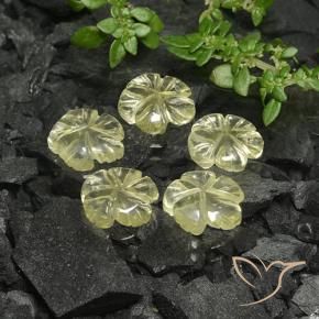Pedras preciosas de Quartzo Luz amarela natural de 6.89 ct, Flor cortada, Transparente