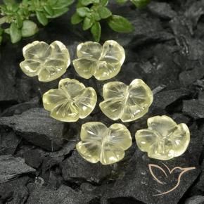 Pedras preciosas de Quartzo amarelo médio natural de 7.83 ct, Flor cortada, Transparente