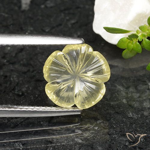 2.51ct Natural Amarelo claro Quartzo, Flor cortada, Transparente