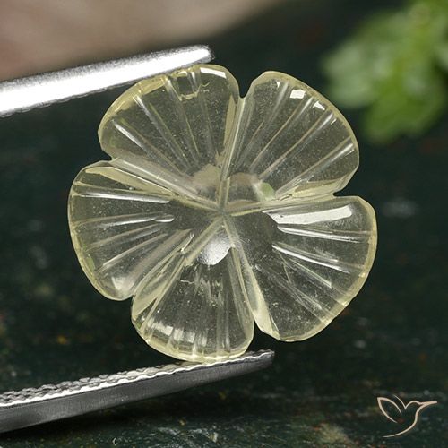 2.82ct Natural amarelo médio Quartzo, Flor cortada, Transparente