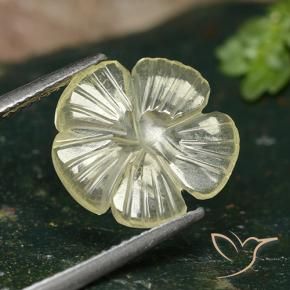 Quartzo amarelo médio Natural 2.82ct, Flor cortada, Transparente