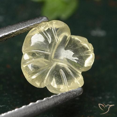 Quartzo amarelo médio Natural 1.38ct, Flor cortada, Transparente