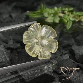 Quartzo amarelo médio Natural 1.68ct, Flor cortada, Transparente