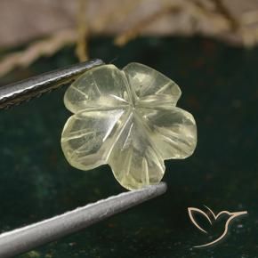Quartzo amarelo médio Natural 1.97ct, Flor cortada, Transparente