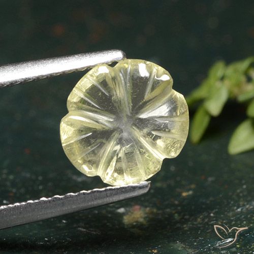 1.55ct Natural amarelo médio Quartzo, Flor cortada, Transparente