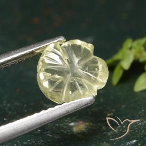 Quartzo amarelo médio Natural 1.55ct, Flor cortada, Transparente