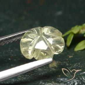 Quartzo amarelo médio Natural 1.55ct, Flor cortada, Transparente