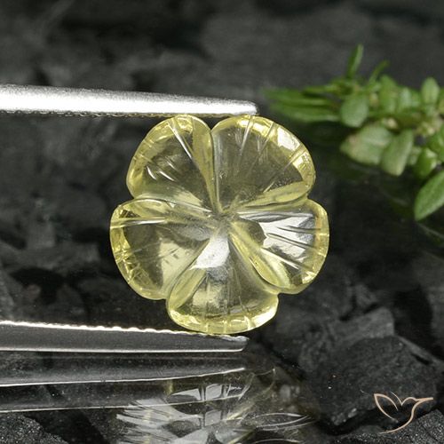 3.38ct Natural amarelo médio Quartzo, Flor cortada, Transparente