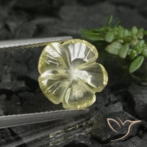 Quartzo amarelo médio Natural 3.38ct, Flor cortada, Transparente
