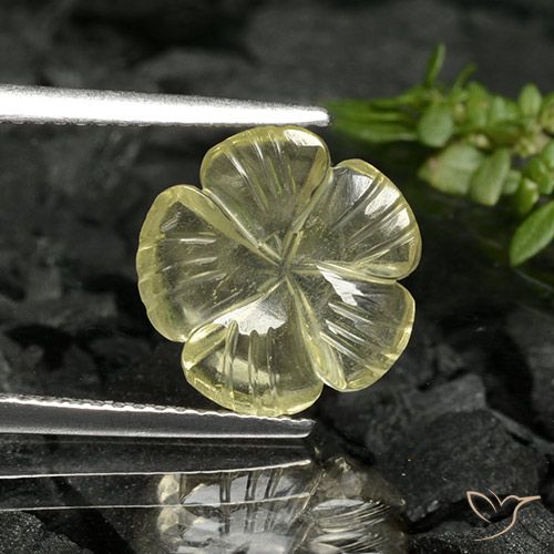 2.88ct Natural amarelo médio Quartzo, Flor cortada, Transparente