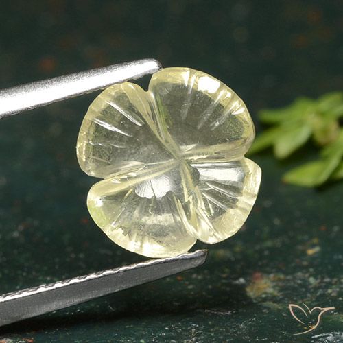 1.76ct Natural Amarelo Creme Pálido Quartzo, Flor cortada, Transparente