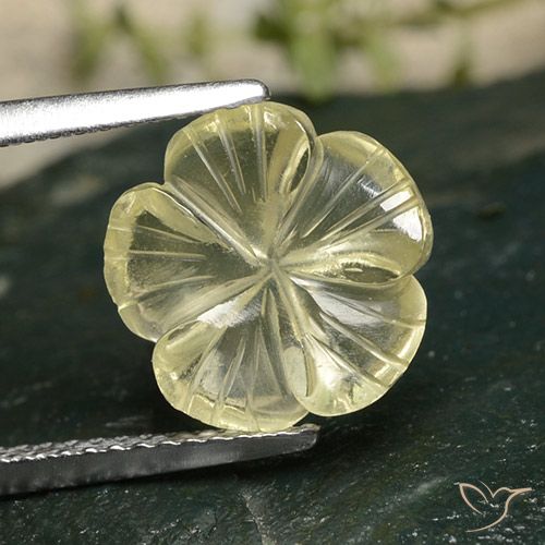 3.47ct Natural Amarelo Creme Pálido Quartzo, Flor cortada, Transparente