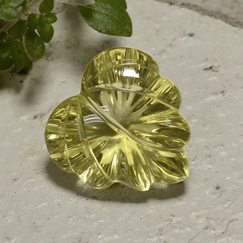 12.42ct Natural amarelo médio Quartzo, Flor cortada, Transparente