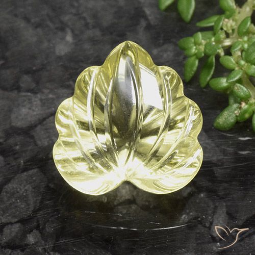 8.67ct Natural Lagoa Amarela Quartzo, Flor cortada, Transparente