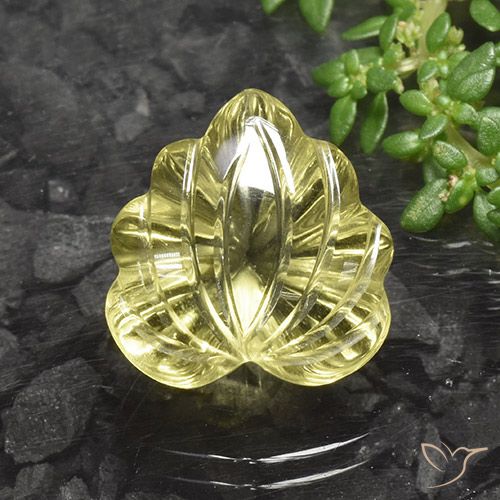 10.17ct Natural Amarelo claro Quartzo, Flor cortada, Transparente