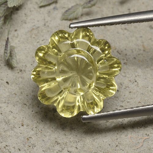 6.19ct Natural Amarelo claro Quartzo, Flor cortada, Transparente