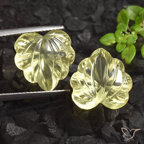 14.91ctw Natural Luz amarela Quartzo, Flor cortada, Transparente