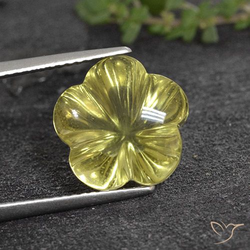 8.05ct Natural amarelo médio Quartzo, Flor cortada, Transparente
