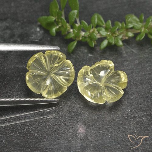 3.87ctw Natural Amarelo claro Quartzo, Flor cortada, Transparente