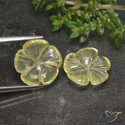 7.52ctw Natural Amarelo claro médio Quartzo, Flor cortada, Transparente