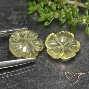 Pedras preciosas de Quartzo Limão amarelo natural de 6.24 ct, Flor cortada, Transparente
