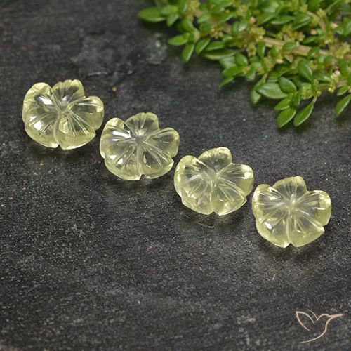 7.80ctw Natural Luz amarela Quartzo, Flor cortada, Transparente