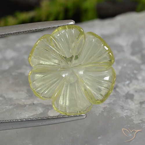 5.62ct Natural Amarelo Abacaxi Claro Quartzo, Flor cortada, Transparente