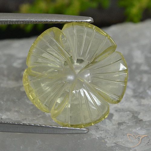 7.41ct Natural Limão amarelo Quartzo, Flor cortada, Transparente