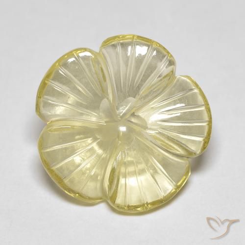 5.90ct Natural Medium Light-Yellow Quartzo, Flor cortada, Transparente