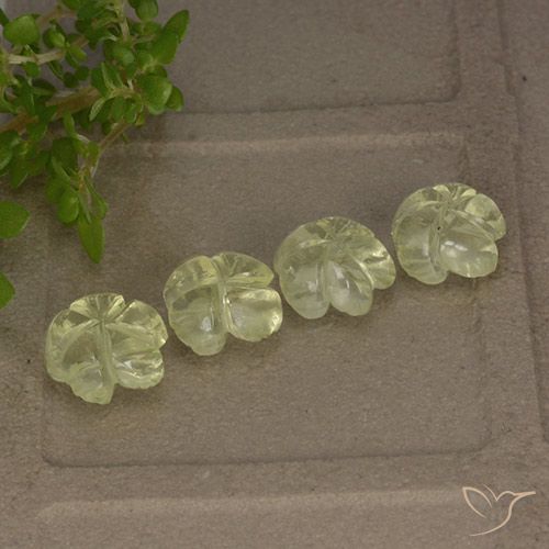 4.99ctw Natural Luz amarela Quartzo, Flor cortada, Transparente