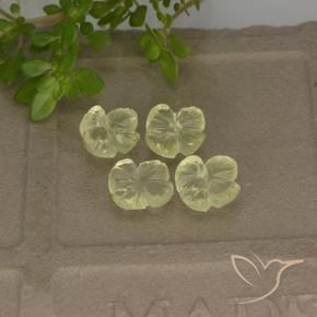 Pedras preciosas de Quartzo Amarelo Esverdeado Claro natural de 3.11 ct, Flor cortada, Transparente
