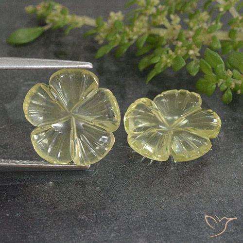 4.80ctw Natural Luz amarela Quartzo, Flor cortada, Transparente