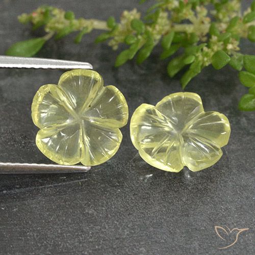 4.19ctw Natural Luz amarela Quartzo, Flor cortada, Transparente