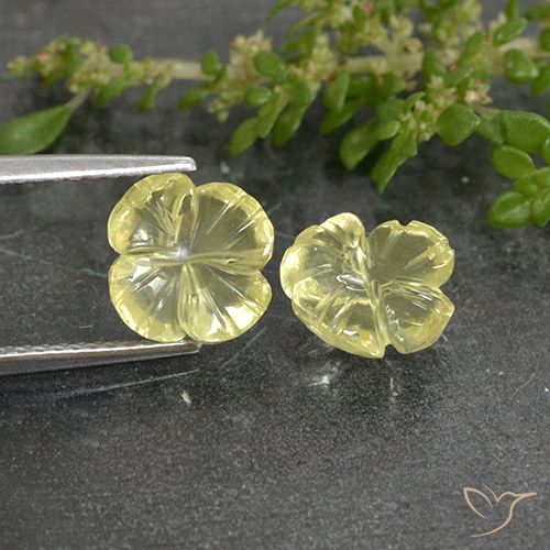 3.26ctw Natural Luz amarela Quartzo, Flor cortada, Transparente