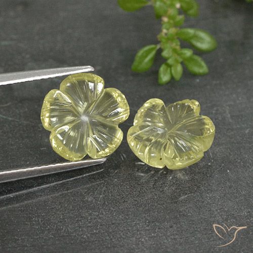 5.20ctw Natural Luz amarela Quartzo, Flor cortada, Transparente