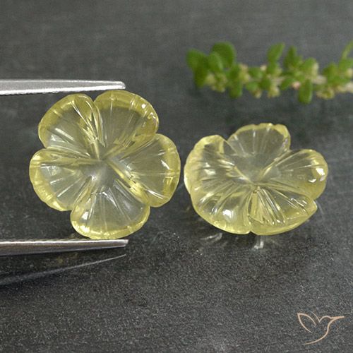 7.33ctw Natural Luz amarela Quartzo, Flor cortada, Transparente