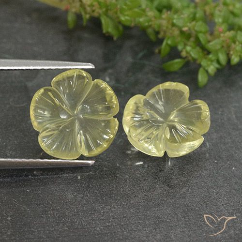 6.26ctw Natural Luz amarela Quartzo, Flor cortada, Transparente