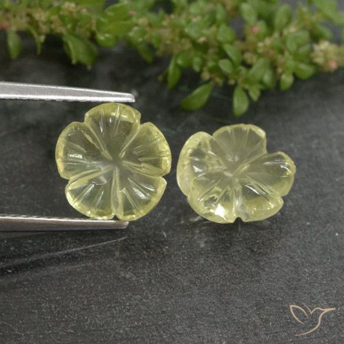 3.62ctw Natural Luz amarela Quartzo, Flor cortada, Transparente