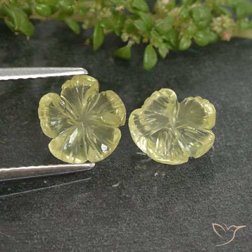 2.62ctw Natural Luz amarela Quartzo, Flor cortada, Transparente