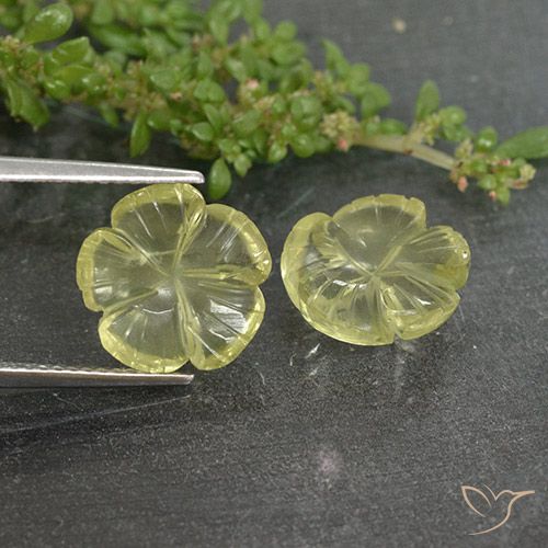 6.36ctw Natural Luz amarela Quartzo, Flor cortada, Transparente