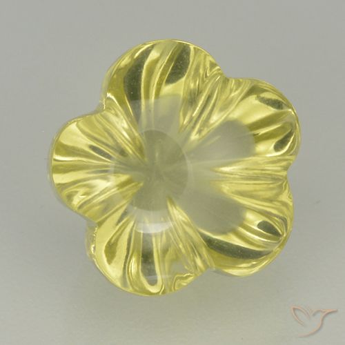 5.05ct Natural amarelo médio Quartzo, Flor cortada, Transparente