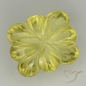 Quartzo Abelha Amarela Natural 8.98ct, Flor cortada, Transparente
