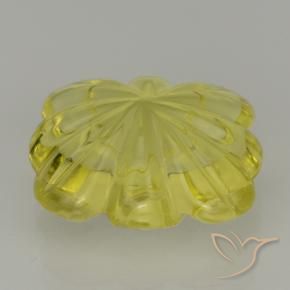 Quartzo Abelha Amarela Natural 8.98ct, Flor cortada, Transparente