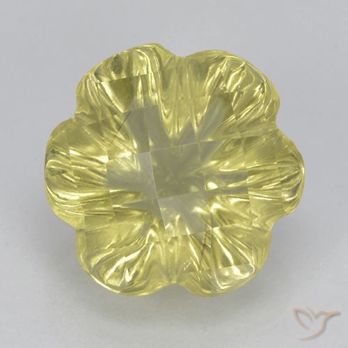 3.04ct Natural Luz amarela Quartzo, Flor cortada, Transparente