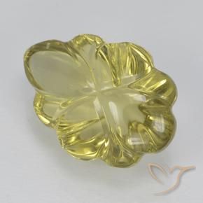 Quartzo Amarelo Dourado Claro Natural 5.50ct, Flor cortada, Transparente