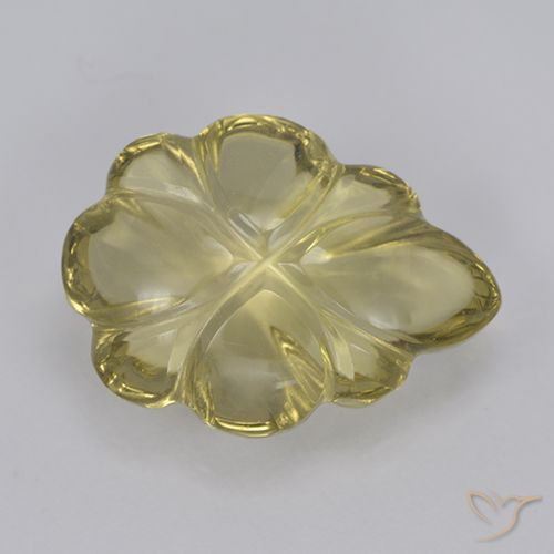 4.76ct Natural amarelo neutro Quartzo, Flor cortada, Transparente