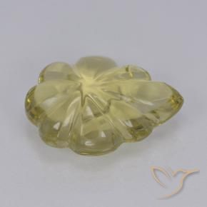 Quartzo amarelo neutro Natural 4.76ct, Flor cortada, Transparente